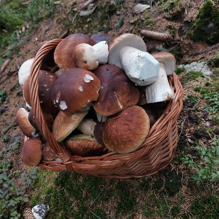 Hostinec U Pejska A Kocicky Mariënbad Buitenkant foto