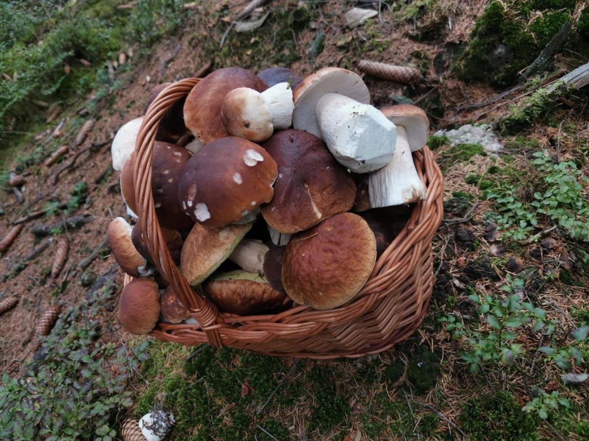 Hostinec U Pejska A Kocicky Mariënbad Buitenkant foto