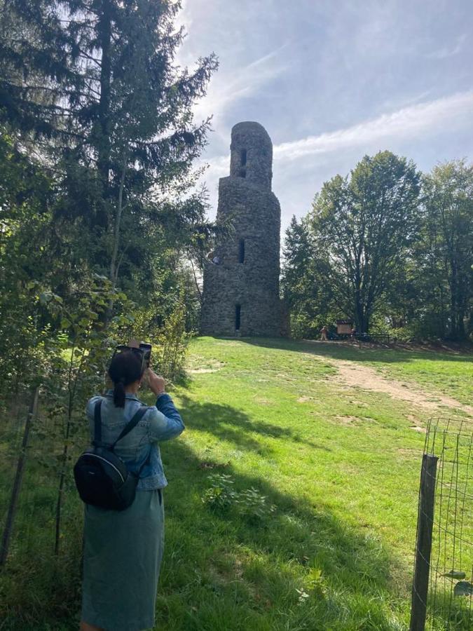 Hostinec U Pejska A Kocicky Mariënbad Buitenkant foto